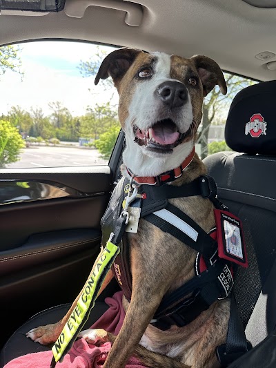 Perrysburg Animal Hospital